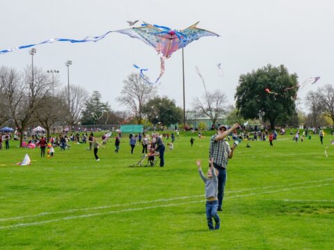 Chico Kite Day