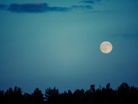 Full Moon Night Hikes
